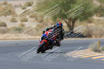 media/May-14-2023-SoCal Trackdays (Sun) [[024eb53b40]]/Turn 5 Tree of Life (1125am)/